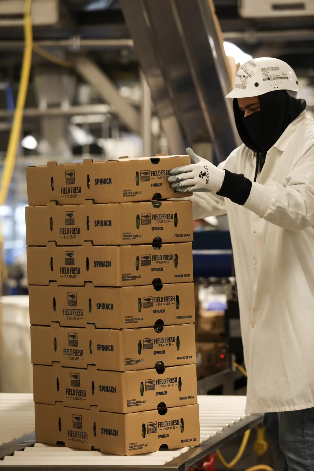 Delivering Freshness